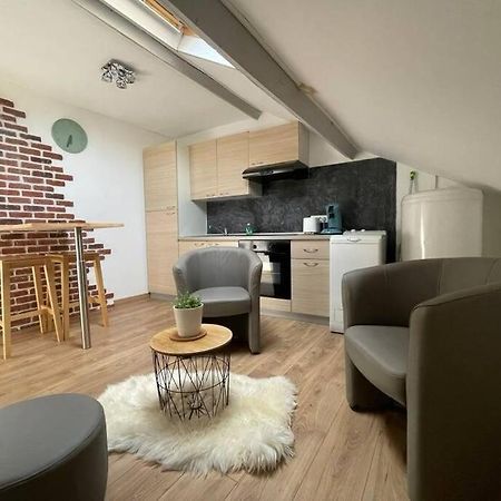 Edouard 2. Logement Complet. Charleville-Mézières 外观 照片